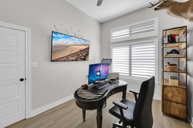 office featuring light wood-type flooring, baseboards, and ceiling fan