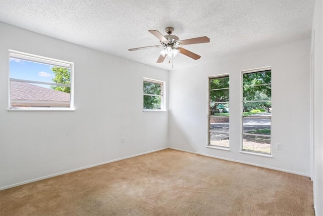 spare room featuring a textured ceiling, light carpet, and a wealth of natural light