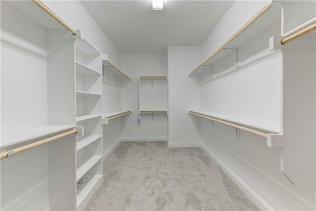 spacious closet with light colored carpet