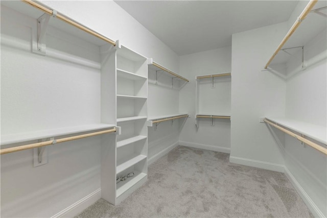 spacious closet with light carpet