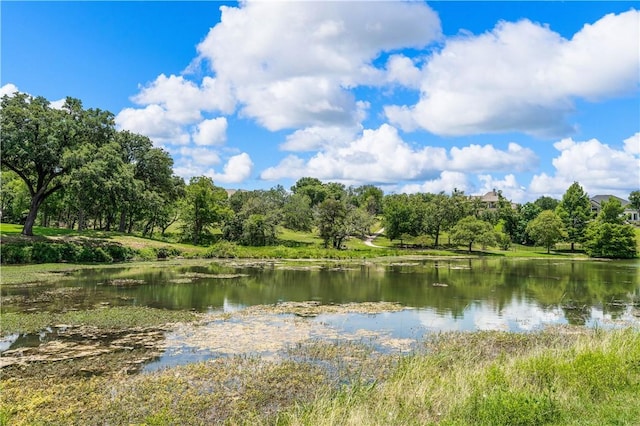 property view of water