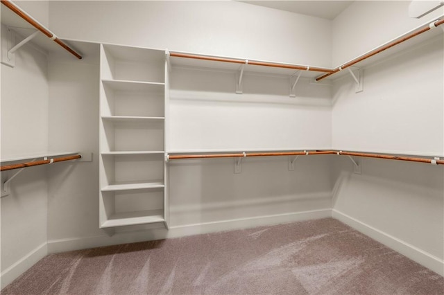 spacious closet with carpet floors