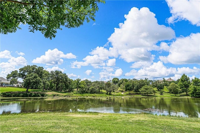 property view of water