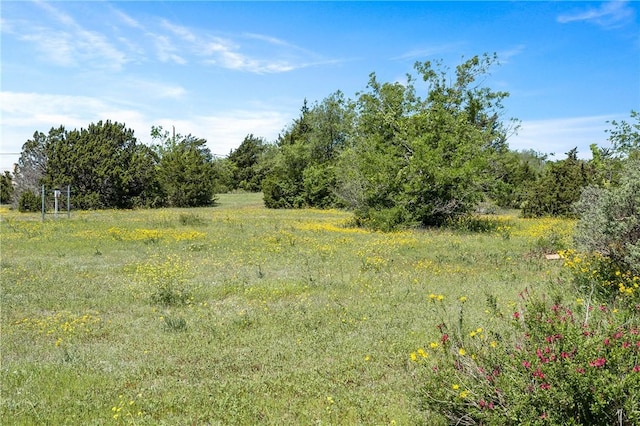 view of landscape