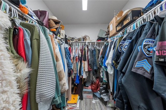 walk in closet featuring wood-type flooring