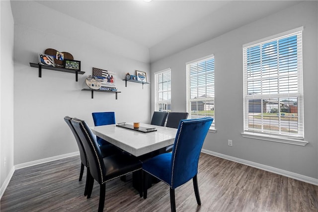 dining room with dark wood-type flooring