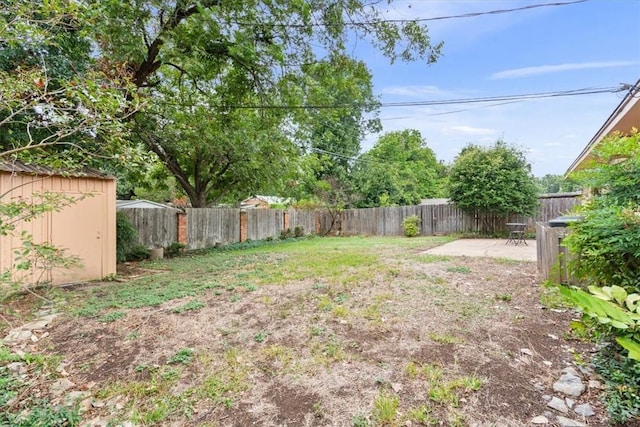 view of yard with a patio and a storage unit