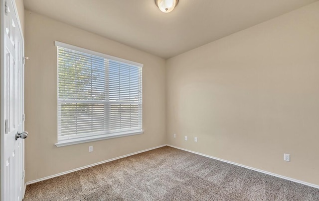 unfurnished room with carpet flooring