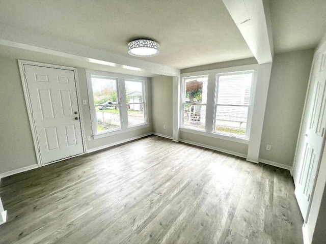 entryway featuring plenty of natural light and light hardwood / wood-style flooring