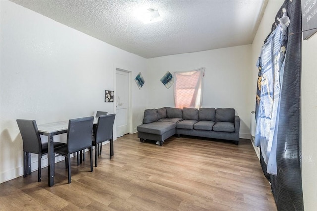 living room featuring a textured ceiling and light hardwood / wood-style flooring