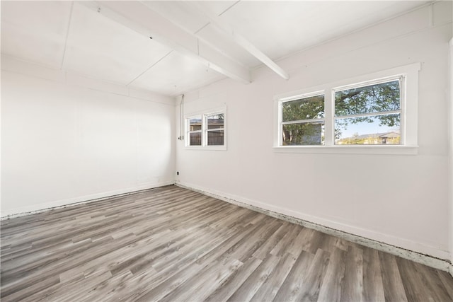 empty room featuring beam ceiling, a wealth of natural light, and light hardwood / wood-style floors