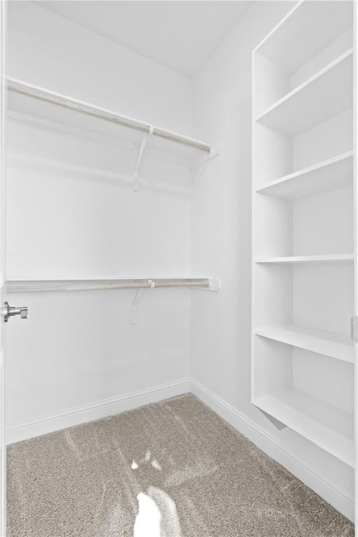 walk in closet with carpet floors