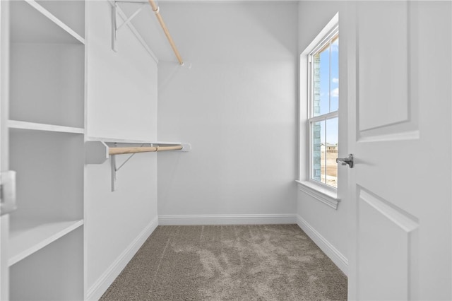 spacious closet with carpet flooring