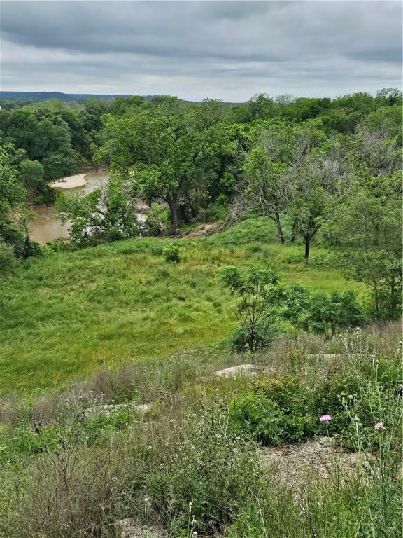 view of local wilderness