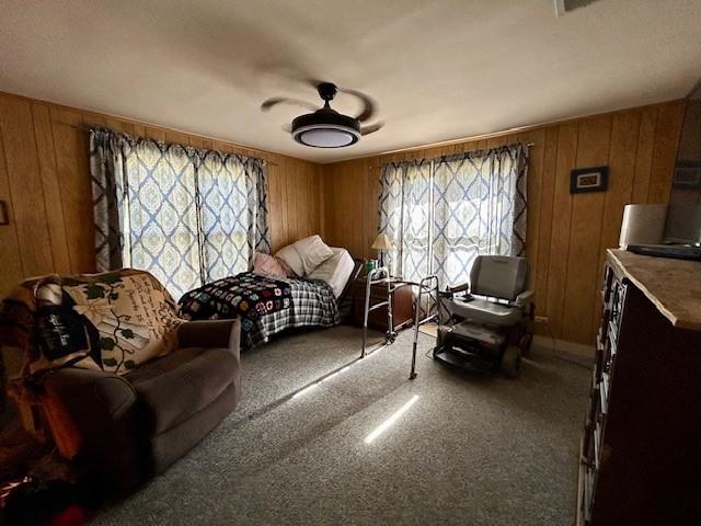 interior space featuring carpet, plenty of natural light, and wooden walls