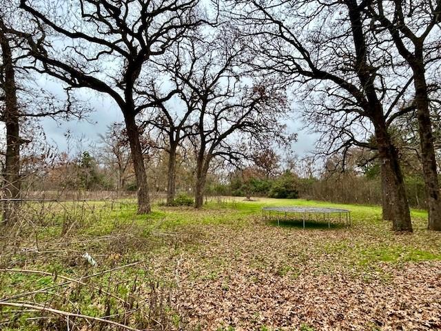 view of nature