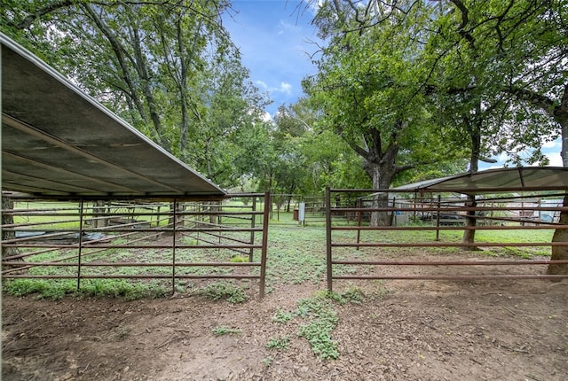 view of horse barn