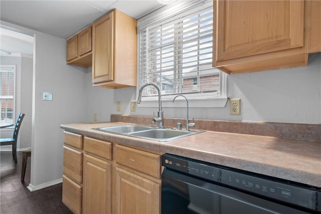 kitchen with dishwasher, plenty of natural light, baseboards, and a sink