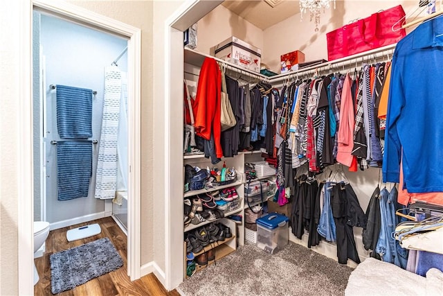 spacious closet featuring hardwood / wood-style flooring