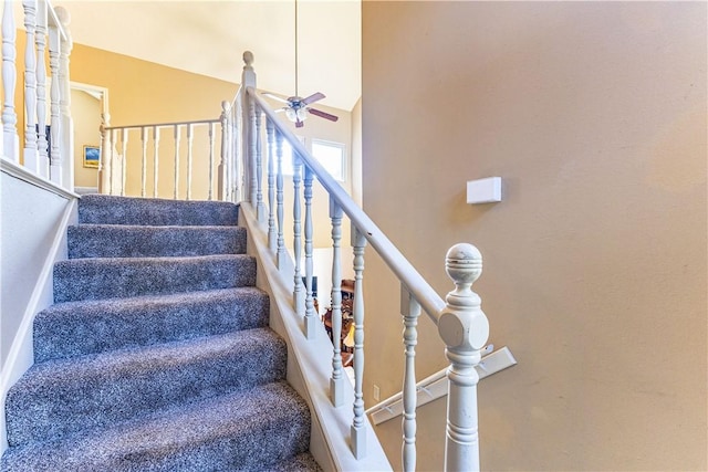 stairway with ceiling fan, lofted ceiling, and carpet flooring