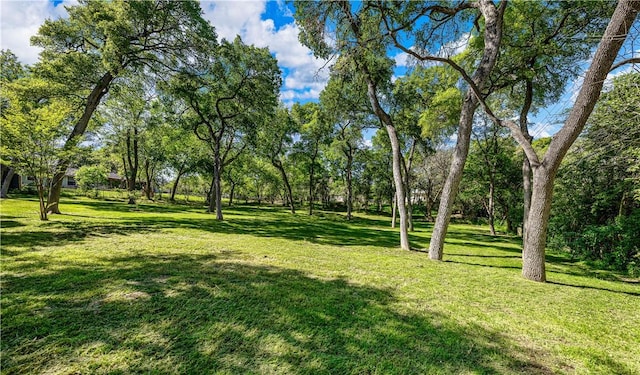 view of home's community with a yard