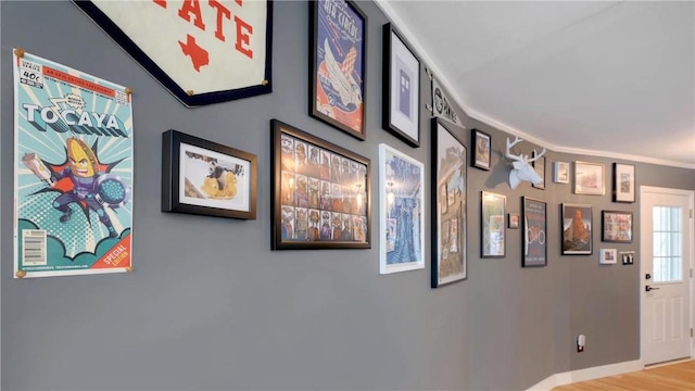 hall featuring ornamental molding and light hardwood / wood-style flooring