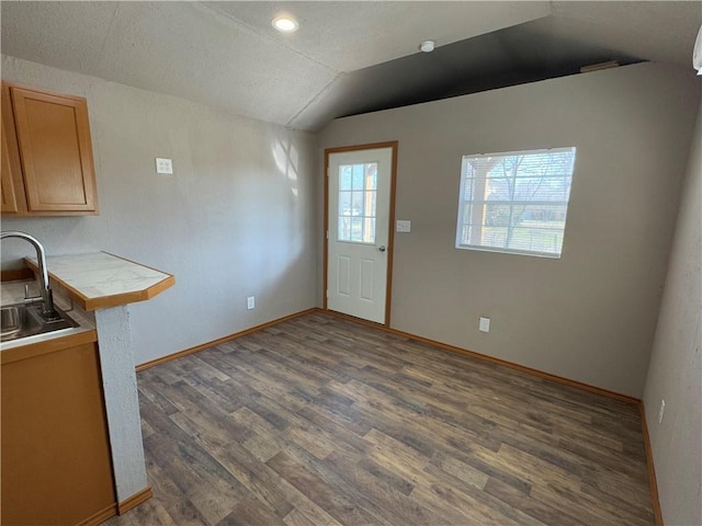 interior space with dark hardwood / wood-style flooring, sink, and lofted ceiling