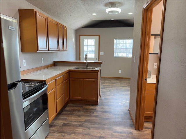 kitchen with sink, stainless steel appliances, dark hardwood / wood-style floors, vaulted ceiling, and kitchen peninsula