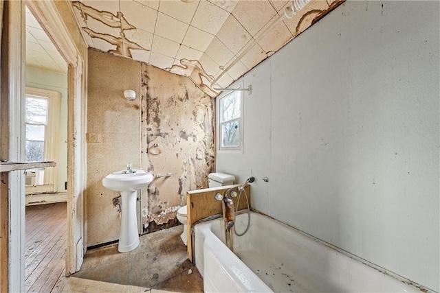 bathroom with a bath, sink, and toilet