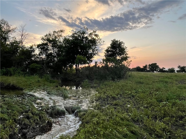 view of nature at dusk