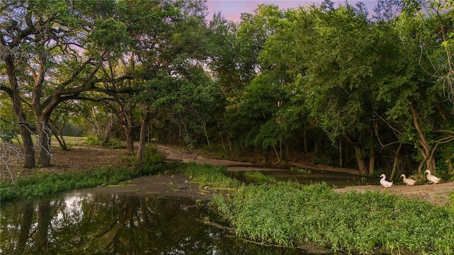 nature at dusk with a water view