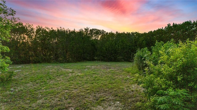 view of yard at dusk