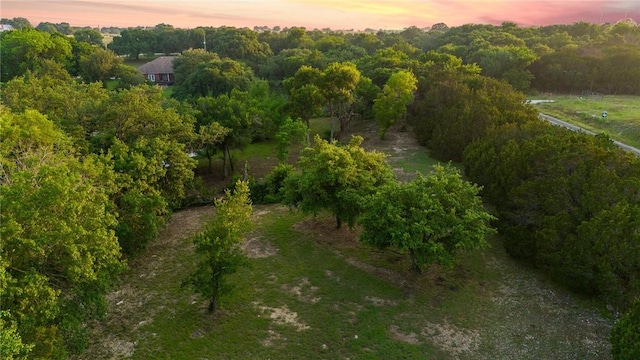 aerial view at dusk with a rural view