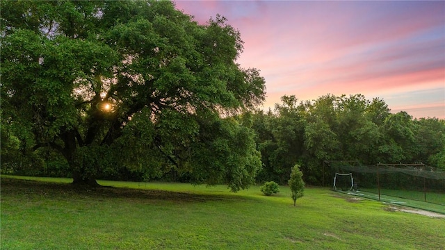 view of yard at dusk