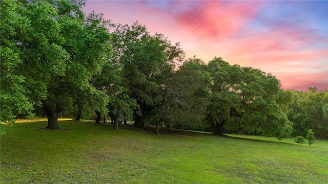 view of yard at dusk