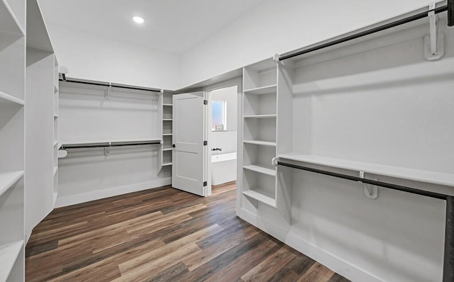 spacious closet with dark hardwood / wood-style floors