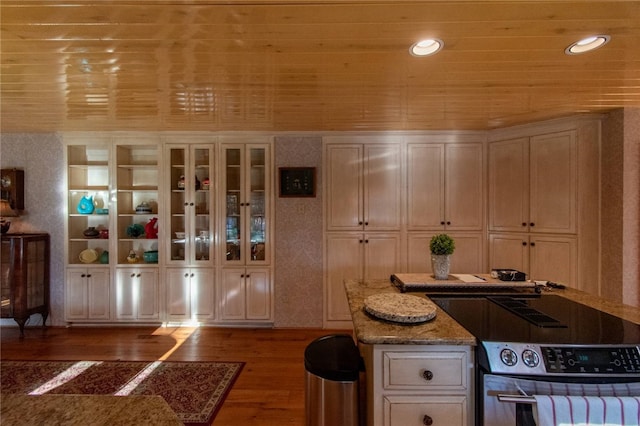 kitchen featuring light stone counters and dark wood-type flooring