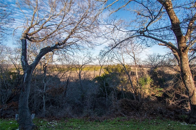 view of local wilderness