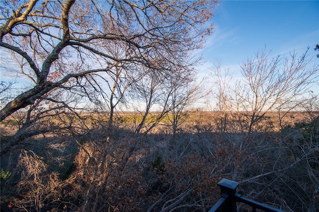 view of landscape featuring a rural view