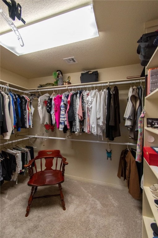 spacious closet with carpet floors