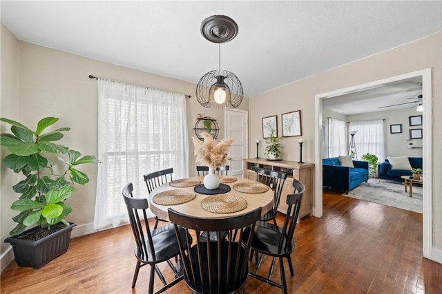 dining area featuring ceiling fan and hardwood / wood-style floors