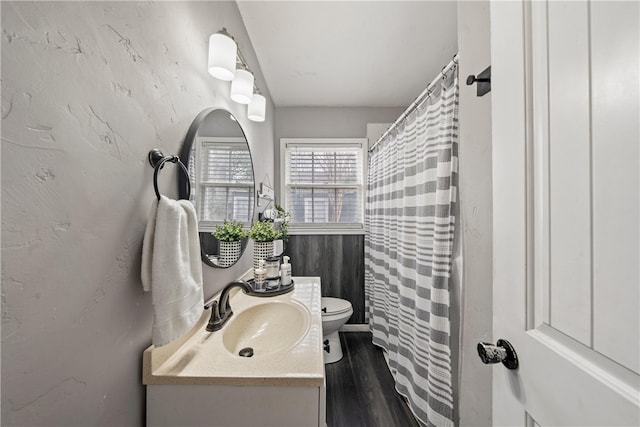 bathroom featuring hardwood / wood-style flooring, vanity, and toilet