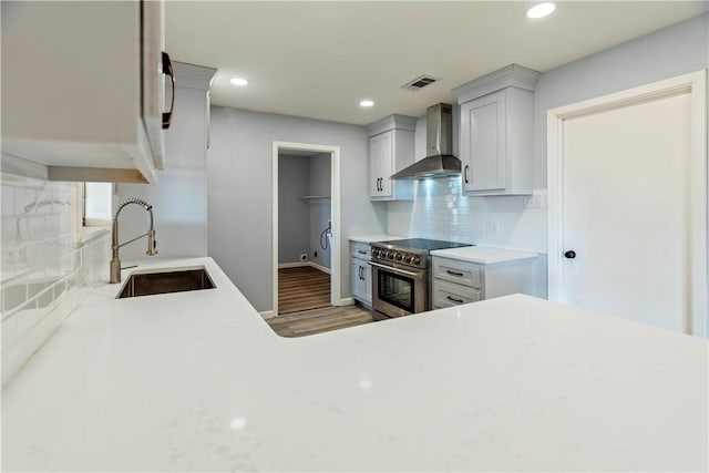 kitchen with sink, high end stainless steel range oven, wall chimney range hood, backsplash, and hardwood / wood-style flooring