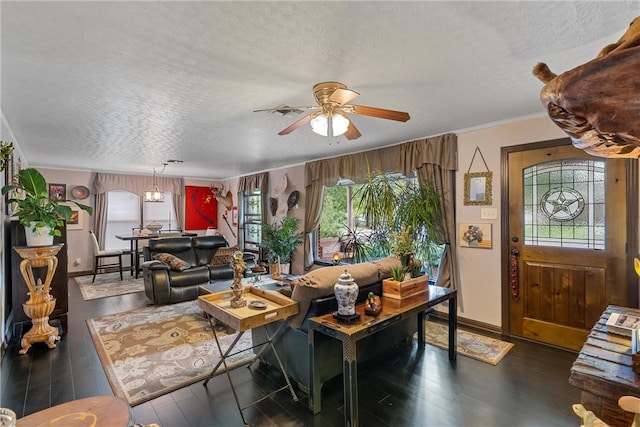 living room featuring dark hardwood / wood-style flooring, ceiling fan with notable chandelier, and a textured ceiling