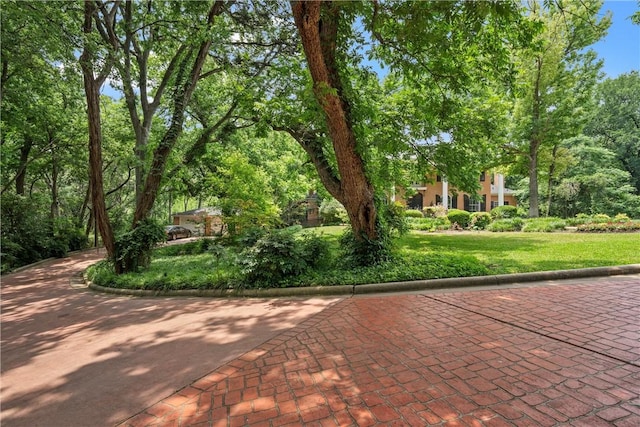 view of property's community with a lawn