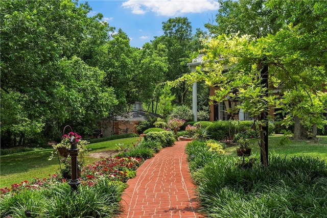 view of community featuring a lawn