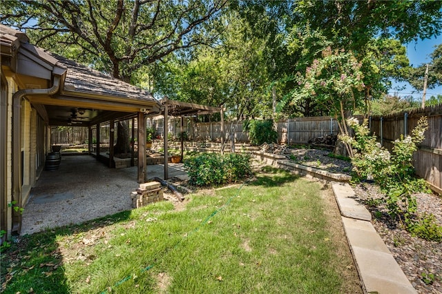 view of yard with a patio area and ceiling fan