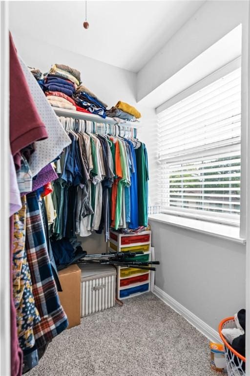 spacious closet featuring carpet