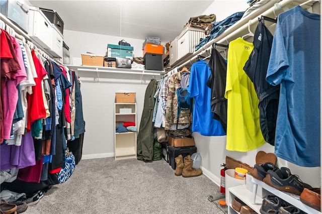 walk in closet featuring light colored carpet