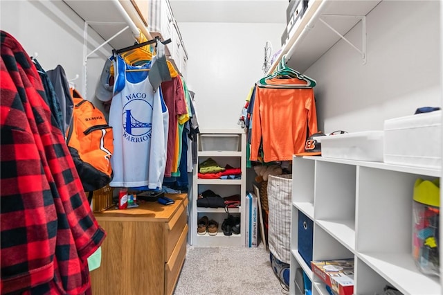 spacious closet with light carpet